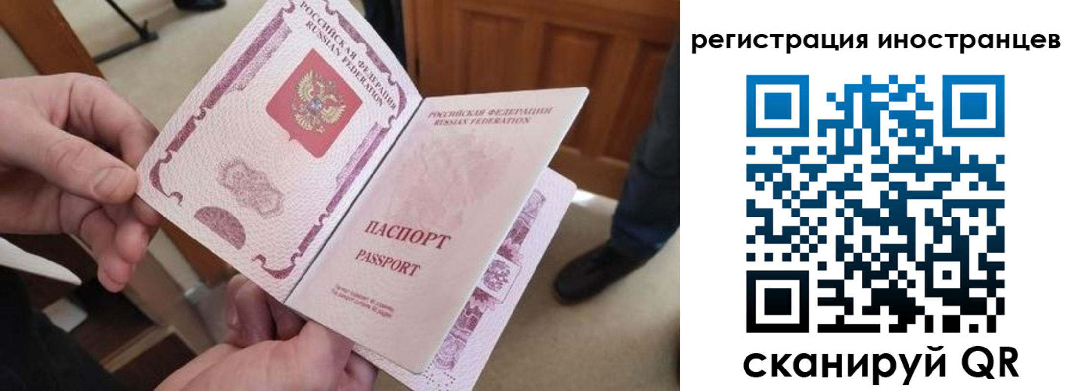 прописка ребенка в Зверево
